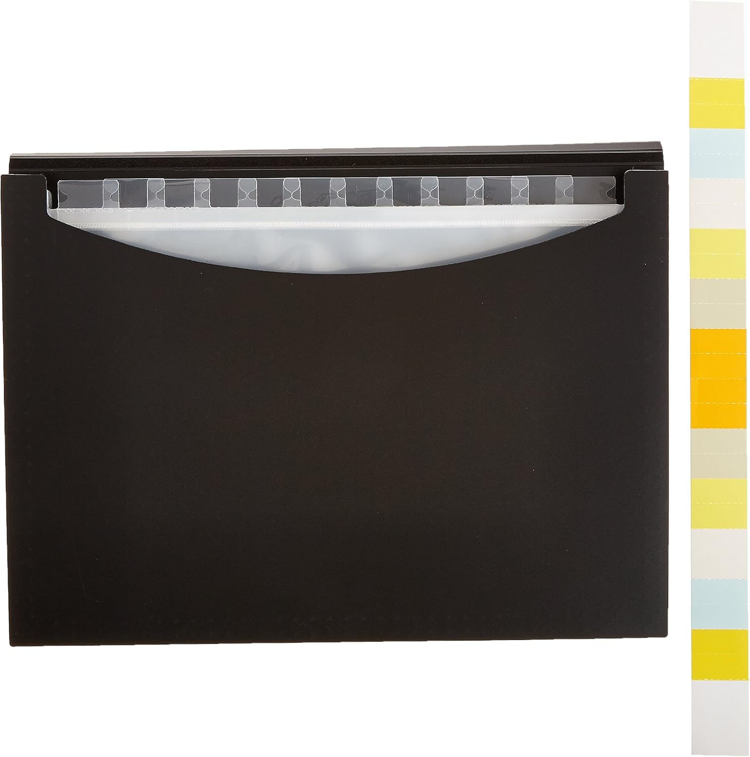 Basics Expanding Organizer File Folder, Letter Size - Black : Office Products
