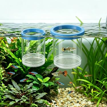 Amazon.com New Releases: The best-selling new & future releases in Fish  Breeding Tanks