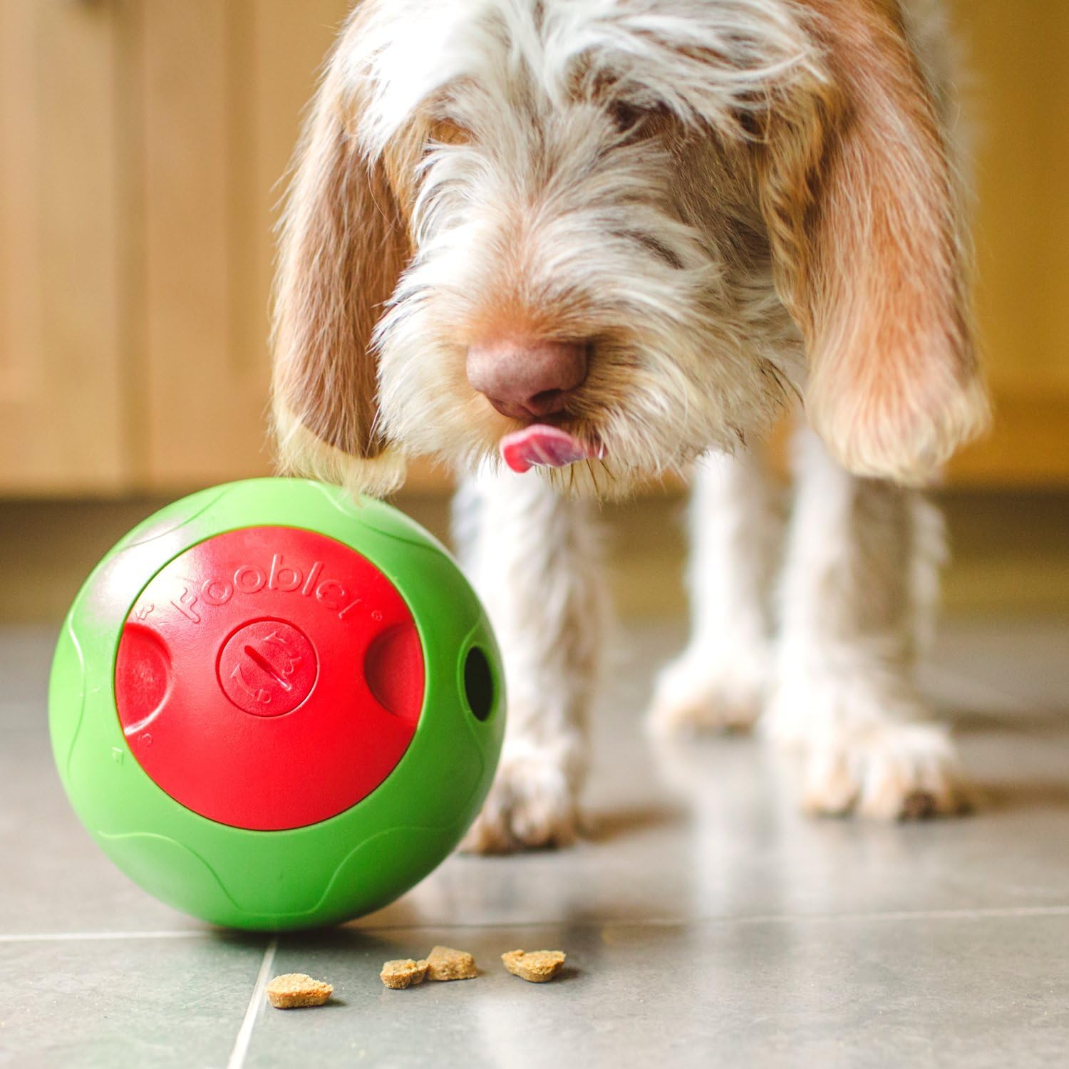 foobler treat dispenser