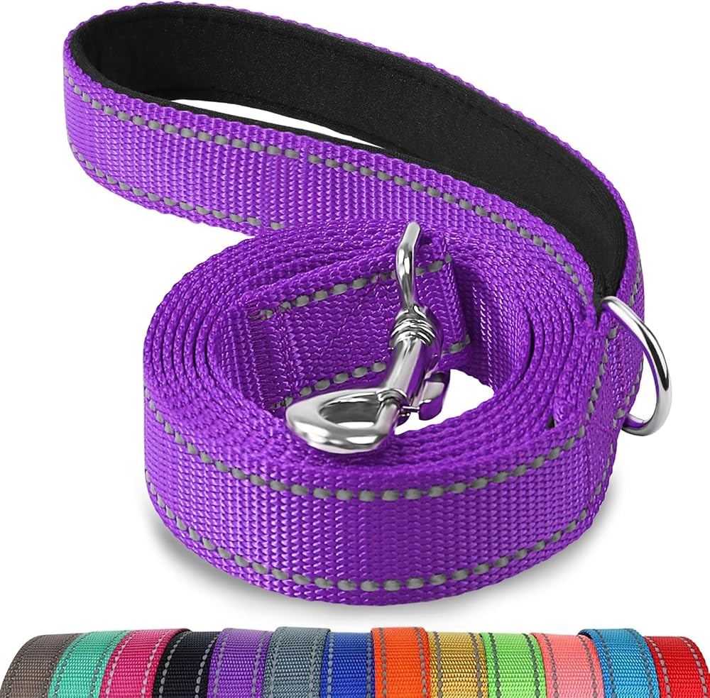 Joytale Padded Handle Dog Lead Double-Sided Reflective Nylon Purple 1.2m