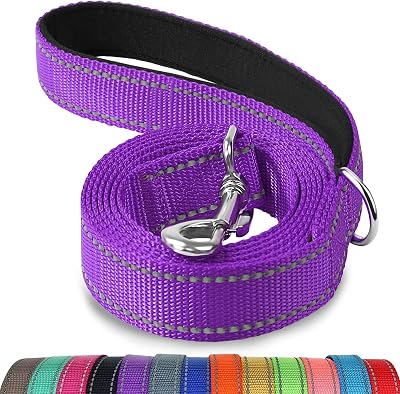 Joytale Padded Handle Dog Lead 1.2m 2.5cm Purple Reflective Nylon Leash