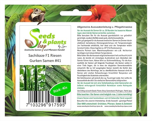 40 semillas de pepino gigante Sachikaze F1 planta de semilla ...
