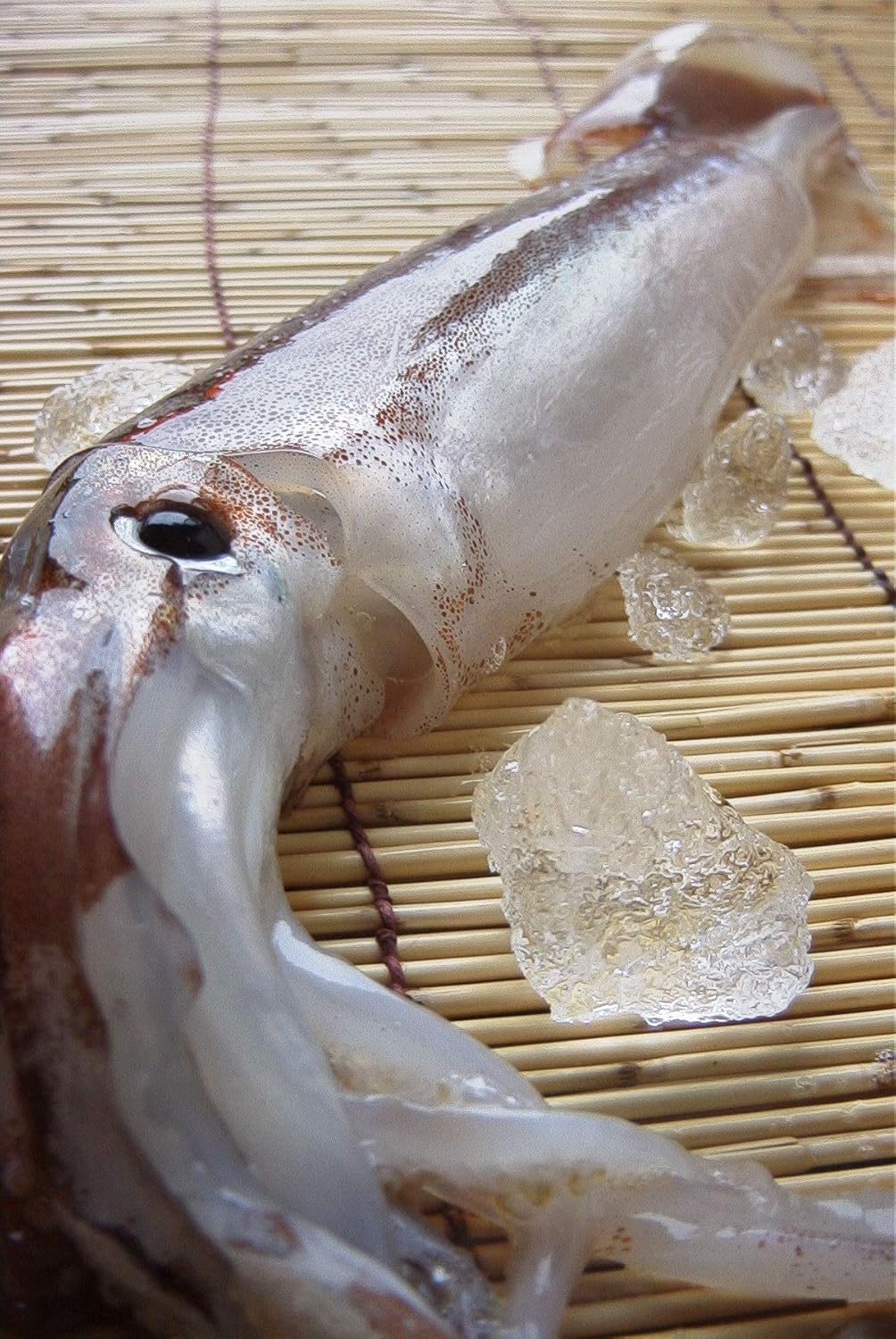 Amazon 生イカ お刺身用 250g以上 知床三佐ヱ門本舗 鮮魚 通販