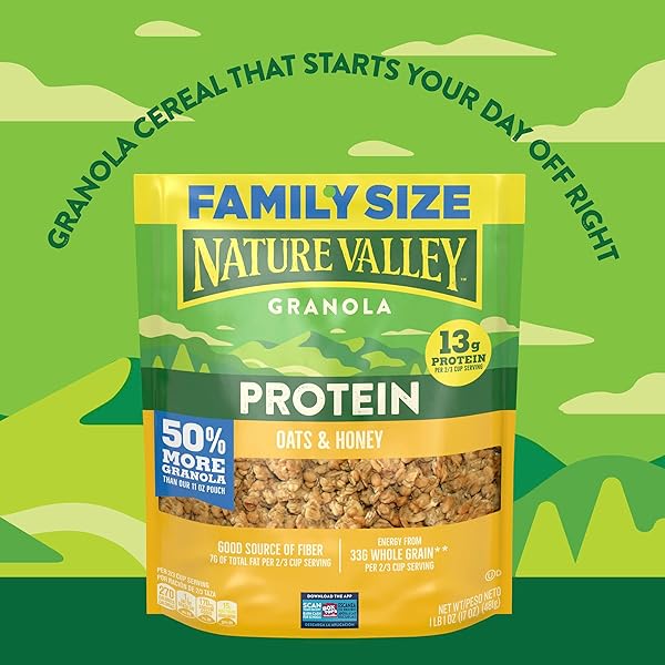 NATURE VALLEY PROTEIN GRANOLA, OATS AND HONEY GRANOLA, RESEALABLE SNACK POUCH, FAMILY SIZE, 17 OZ