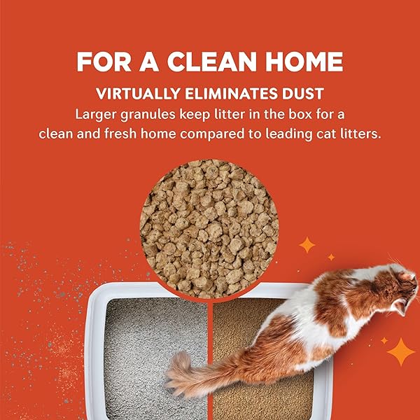 WORLD’S BEST CAT LITTER LOW TRACKING & DUST CONTROL MULTIPLE CAT UNSCENTED 15-POUNDS – NATURAL INGREDIENTS, QUICK CLUMPING, FLUSHABLE & MADE IN USA – LONG-LASTING ODOR CONTROL & EASY SCOOPING