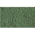 Greendutch Shaker 600ML - Green Dutch
