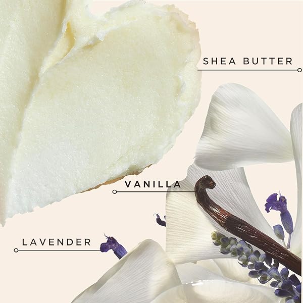 CAROL’S DAUGHTER BLACK VANILLA MOISTURE SULFATE FREE CONDITIONER FOR CURLY, WAVY OR NATURAL HAIR, MOISTURIZING HAIR CARE FOR DRY, DAMAGED HAIR, 12 FL OZ