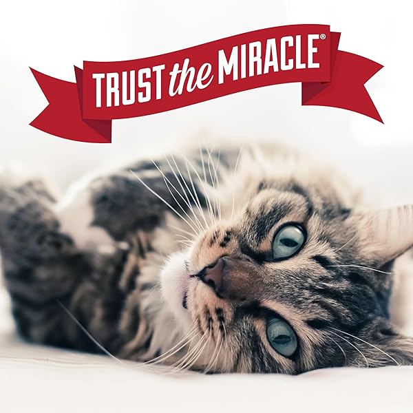 NATURE’S MIRACLE ADVANCED PLATINUM CAT PET BLOCK REPELLENT SPRAY, 8 OUNCES, INDOOR TRAINING AID FOR CATS