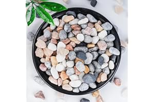 SIDONG 5 LB Natural Mixed Color Gravel Pebbles, 2/5 Inch Small Pea Gravel Stones, Decorative River Rocks for Succulents, Aquariums, Vases, Indoor Plants, Garden Landscaping, DIY