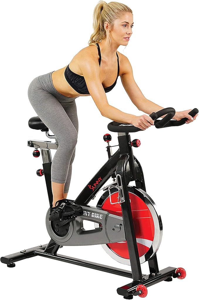 Sunny Health &amp; Fitness Sf-B1002 Indoor Cycling Bike