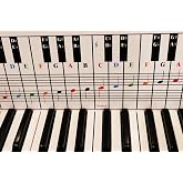 QMG Piano and Keyboard Note Chart &ndash; Visual Guide Used Behind the Keys for Beginners, Easy Setup, Fits Medium to Full‑Size Keyboards, Covers Four Octaves
