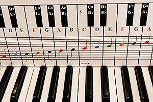 QMG Piano and Keyboard Note Chart, Use Behind the Keys, Ideal Visual Tool for Beginners Learning Piano or Keyboard, Easy to Set Up, for any Medium to Full Size Piano or Keyboard, Cover Four Octaves