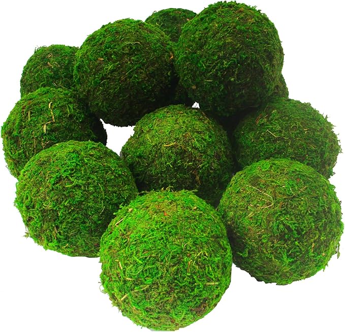 AMEICE Natural Green Moss Balls Decorative Authentic Real Preserved