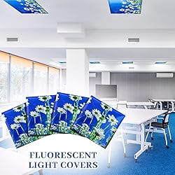Patelai 4 x 2 Feet Fluorescent Light Cover for