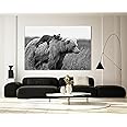 Wildlife Canvas Prints Wild Animals Home Decor Medium