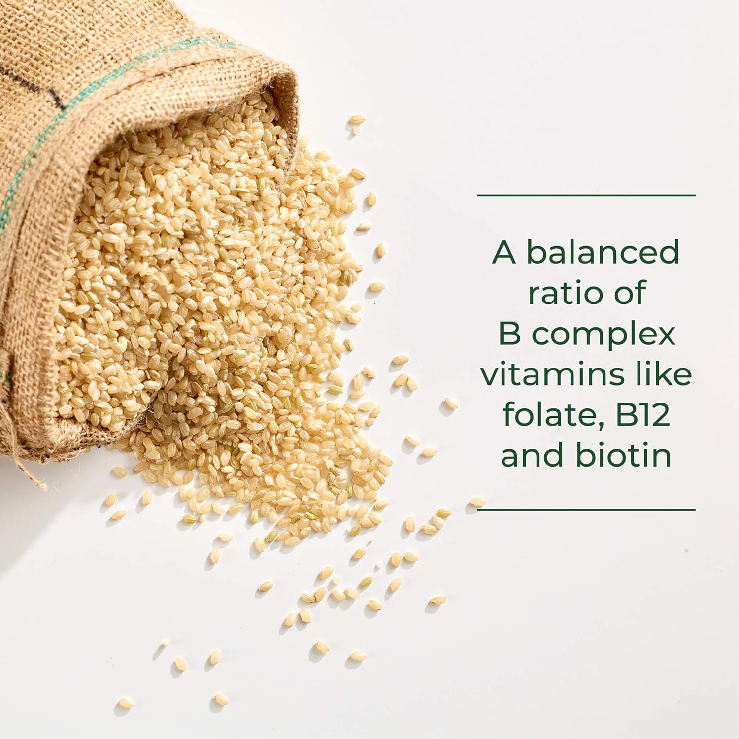 MegaFood, Balanced B Complex, Promotes Healthy Energy Levels, Multivitamin Dietary Supplement, Gluten Free, Vegan, 90 Tablets (90 Servings): Health & Personal Care