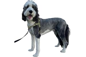 ShawnCo Dream Walk Pro Dog Harness- No-Pull, Comfortable, Adjustable, Easy to Use Pet Halter to Help Stop Pulling for Small, Medium and Large Dogs (Olive Green, Medium)