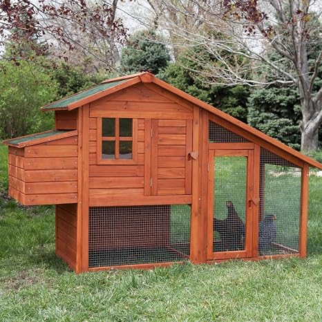 Amazoncom Boomer George Deluxe 4 Chicken Coop With Run Pet Supplies