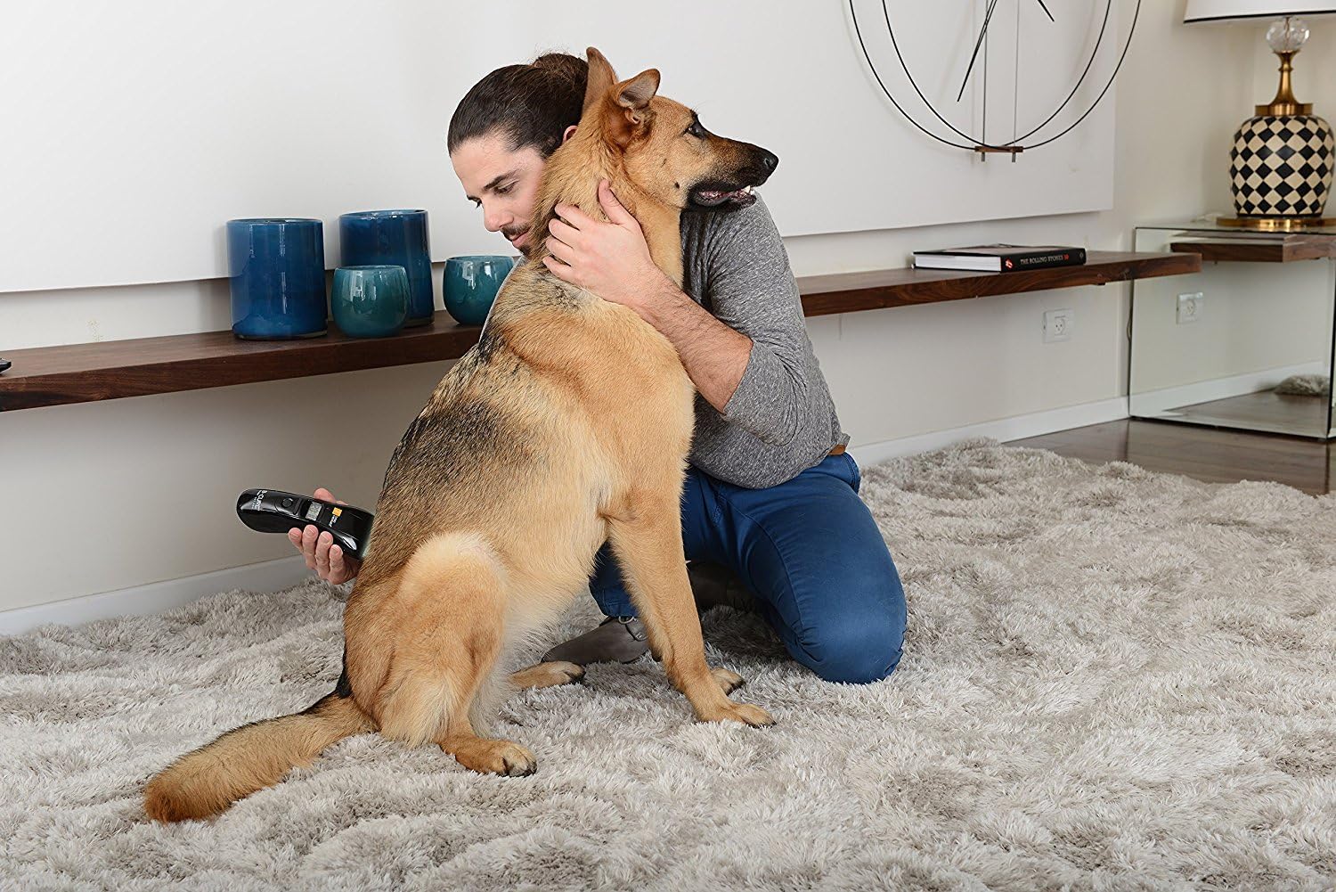 cold laser therapy for dogs cost