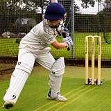 FORTRESS Springback Cricket Stumps 28in ICC Regulation Premium Wood view 3