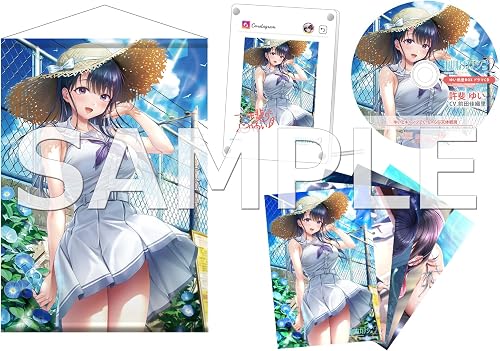制服カノジョ2 ゆい熱愛BOX ゲームセット/3点セット』店舗特典・予約