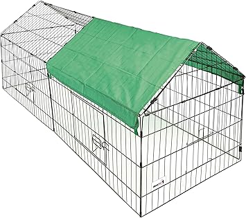 english staffy x border collie