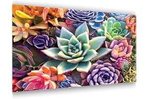 Aestalrcus Large Paint by Number for Adults, Succulent Acrylic Adults Paint by Numbers Kits on Canvas, 16x24 inch Large Size Painting by Numbers for Adults for Home Wall Decoration and Gifts