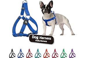 KRUZ PET Kruz No Pull Dog Harness (Chest 26”-38”, Weight 44-88 lbs) Heavy-Duty Pet Harness for Large Breeds, Ultra-Comfort Fit, Lifetime Durability, Adjustable Dog Harness No Pull Design (Blue, Large)