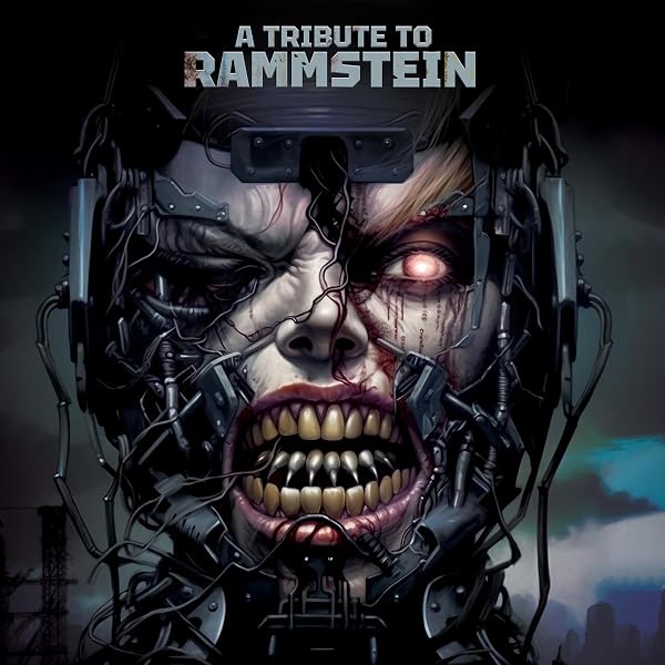Manson Prodigy Rammstein CD まとめ+1 Rammstein - Made in Germany 1995-2011 (Super Deluxe Edition