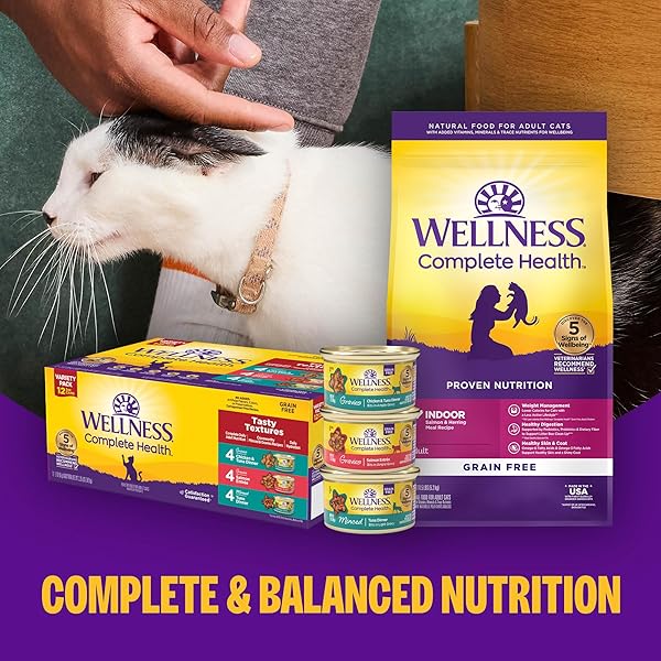 WELLNESS COMPLETE HEALTH GRAVY ADULT WET CAT FOOD, NATURAL, PROTEIN-RICH, GRAIN FREE, 3 OUNCE, 12 PACK, (TURKEY DINNER)