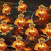 Sakayo [Timer] Fall Thanksgiving Turkey Lights Decorations, 10FT 30LED Copper Wire Fairy Lights Turkey Decor, Thanksgiving Lights Indoor Outdoor Home Party Autumn Harvest Fall Decor