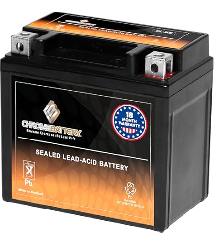 Amazon.com: Rechargeable - YTX5L-BS Scooter Battery - for Yamaha