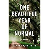 One Beautiful Year of Normal: A Novel
