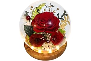 Valley of Rain & Forest Long-Lasting Real Flowers, Unique Floral Gift for You to Send Love for All Occasions, for Indoor Decoration (Dark Red Rose)