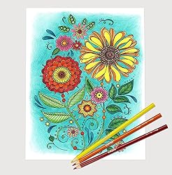 The Mega Deals Adult Colored Pencils, Adult