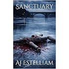 Sanctuary (Emerson and Snow Book 12)