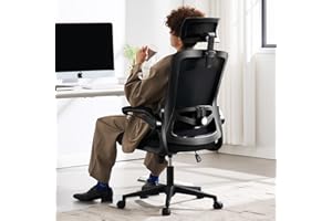 Fizzin Ergonomic Office Chair, 400 LBS Computer Chairs with Adjustable Lumbar Support, Breathable Mesh Desk Chair Ergonomic with Thickened Cushion, Comfy Home Office Desk Chair (Black)