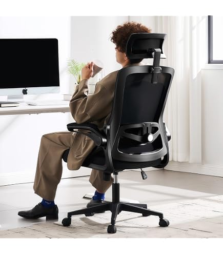 Amazon.com: SeekFancy Ergonomic Office Chair M903, Computer Desk