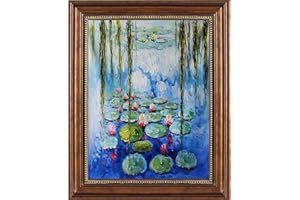 Dimensean Stamped Cross Stitch Kits Full Range of Embroidery Patterns Starter Kits for Beginners Adult or Kids DIY Cross Stitches Needlepoint Kits 11CT-Monet Water Lily-15.7x20.9 inch