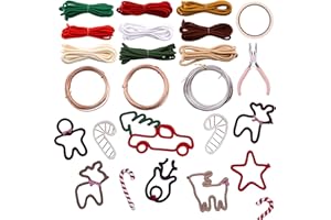 BoFUN Wire Craft Kit for Adults, Teens Christmas DIY Wire Art Crafts Set for Home Gatherings, Birthday Party Group, Holiday Parties, Women Birthday, Mother's Day Gifts, Handmade Home Decor (Christmas)