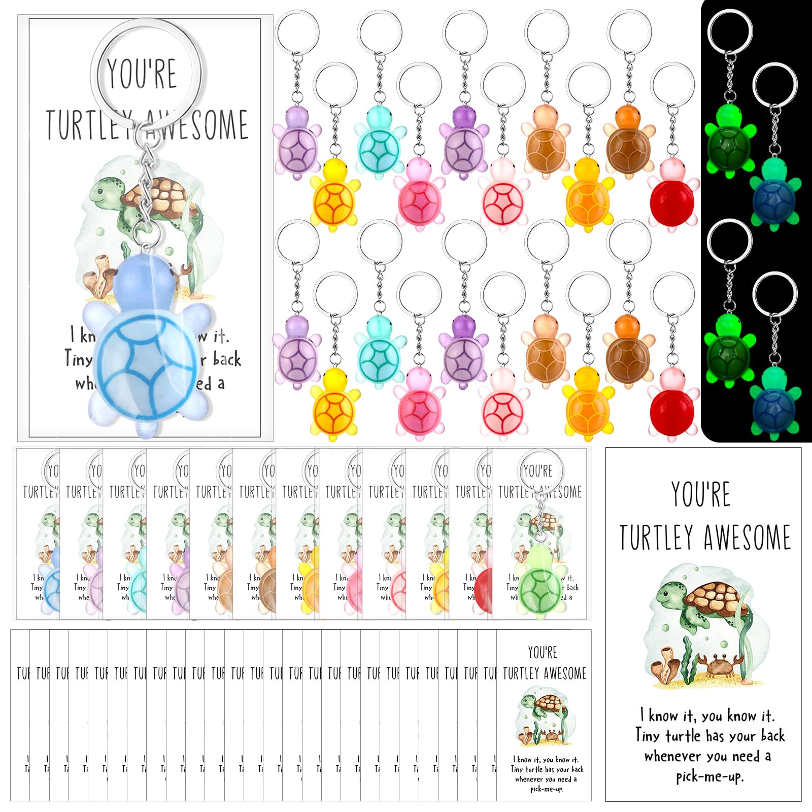 Photo 1 of CroBlissful 24 Sets End of School Years Gifts Bulk Positive Turtle Keychains Sets Turtley Awesome Employee Appreciation Gifts (Classic)