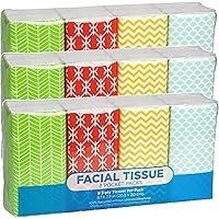 Funwares Pocket Sized White Travel Facial Tissue, 216 Sheets, Geometric Print Designed Package, 24 Pack