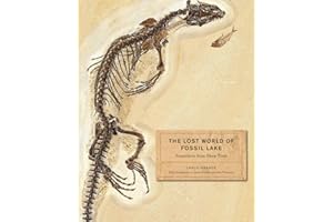 The Lost World of Fossil Lake: Snapshots from Deep Time
