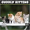 MICASA Cuddly Kittens 2025 Wall Calendar 12 Month | 12" x 24" Open | Thick & Sturdy Paper | Giftable | Calendar 2025