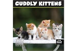 MICASA PRESS MICASA Cuddly Kittens 2025 Wall Calendar 12 Month | 12" x 24" Open | Thick & Sturdy Paper | Giftable Kitten Calendar 2025 | Cat Calendar 2025