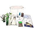 Tadpole to Frog Starter Kit - Includes Certificate for 2 Live Tadpoles - All-in-One Bundle with Habitat, Food, Instructions - Ideal for Education and Home Observation