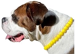 Dog Necklace