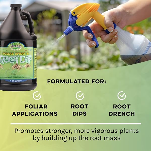 MICROBE LIFE HYDROPONICS PH21349 PREMIUM FOLIAR SPRAY & ROOT DIP, 32 OUNCE, GREEN