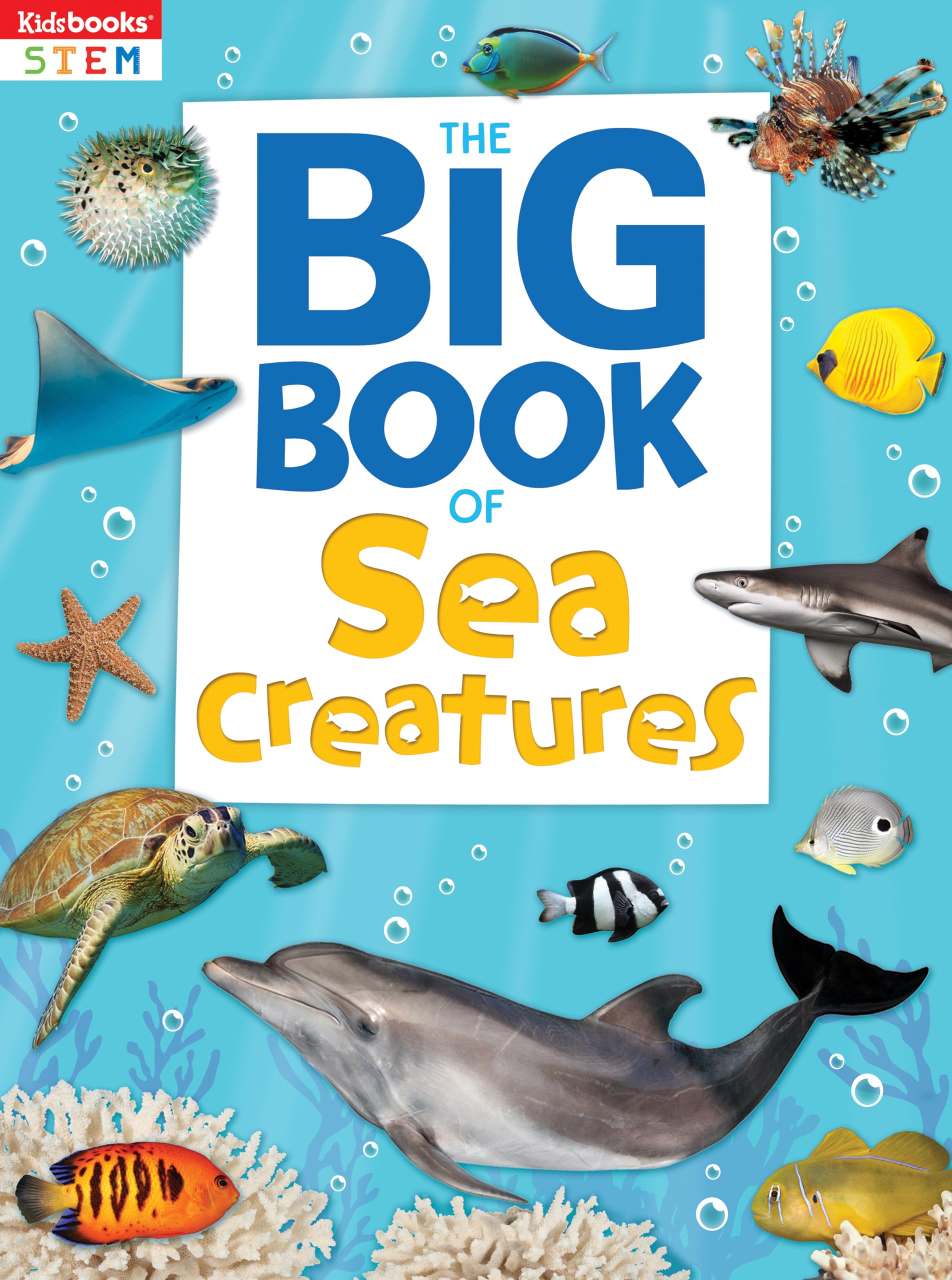 Sea Creatures Sea Creatures Paperback
