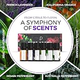 Pure Aroma 100% Pure Essential Oils Kit 6 x 10ml Lavender Tea Tree Eucalyptus view 4